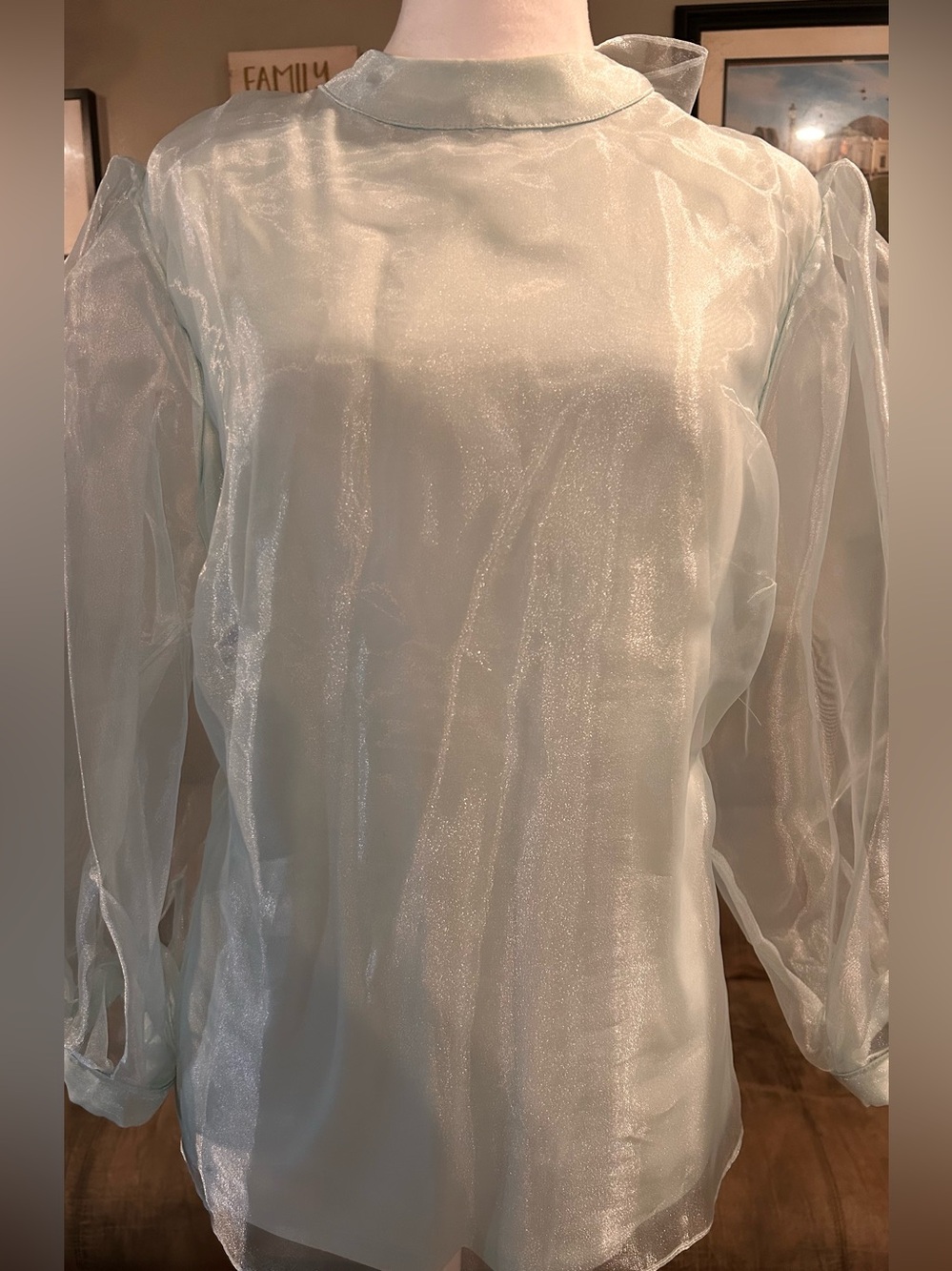 CeCe Sheer Puff-Sleeve Blouse in Pale Mint